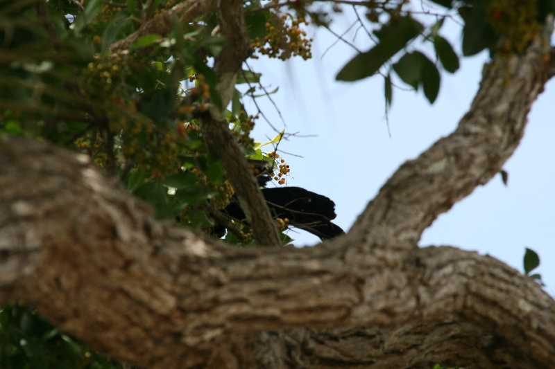 Mexico & Guatemala 2010 - 0041